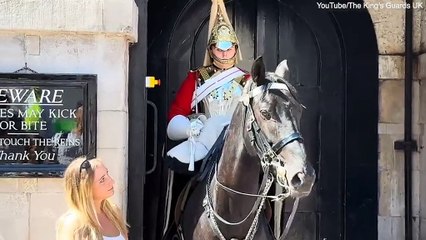 King's Guard hits emergency button after struggling to control horse