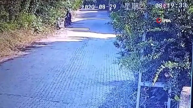 Récupération du chien volé devant la maison