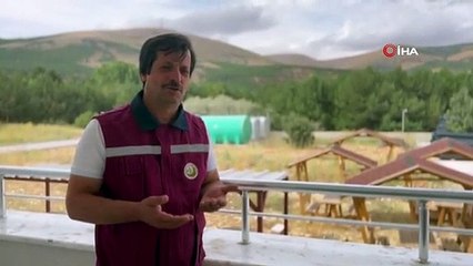 Bayburt'tan yürekleri ısıtan görüntü: Güvercinlere elleriyle su içirdiler