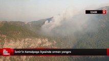 İzmir’in Kemalpaşa ilçesinde orman yangını