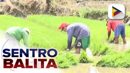 Télécharger la video: Tunay na lagay ng sektor ng agrikultura, pangingisda sa bansa, target malaman sa inilunsad na 2022 Census of Agriculture and Fisheries ng PSA