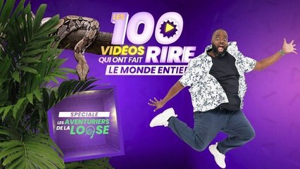 Les 100 vidéos qui ont fait rire le monde entier - Spéciale les animaux pètent les plombs