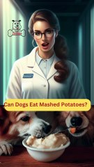 Can Dogs Eat Mashed Potatoes