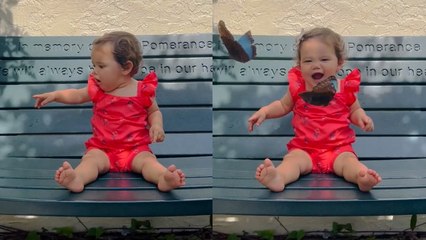 Adorable Moment Baby Sees Butterflies for the First Time