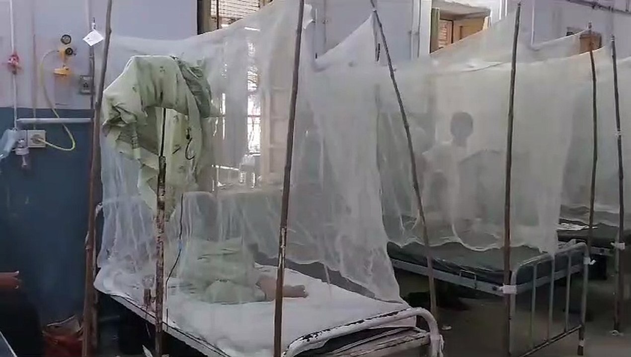 कोटा में डेंगू का डर: मच्छरदानी के कवच में रोगी, अस्पताल खचाखच