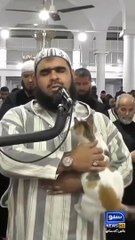 Viral video of Cat playing with Imam during prayer  _ Suno News