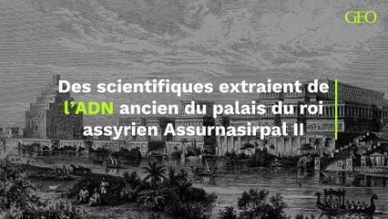 "Une capsule temporelle vieille de 2 900 ans" : des scientifiques extraient de l'ADN ancien du palais du roi assyrien Assurnasirpal II