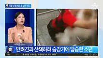 승강기에 목줄 낀 반려견…소년이 몸 날려 구했다