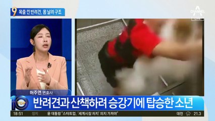 승강기에 목줄 낀 반려견…소년이 몸 날려 구했다