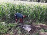 The swaying crops started withering, now the support of tubewell