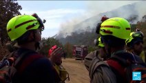 Multinational firefighting force battles EU's biggest wildfire in Greece