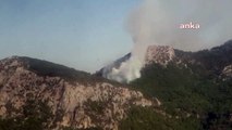 İzmir'de Kemalpaşa ve Bornova ilçelerinde çıkan orman yangınları kontrol altına alındı