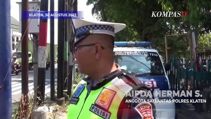 Sapi Lepas di Jalur Utama Yogya-Solo Bikin Geger!