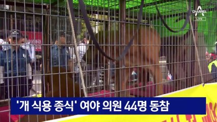 [여랑야랑]김건희, 손등에 백구 그림 / 모범생과 낙제생?