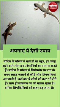 छिपकली घर से हो जाएंगी छूमंतर, अपनाएं ये देसी उपाय
