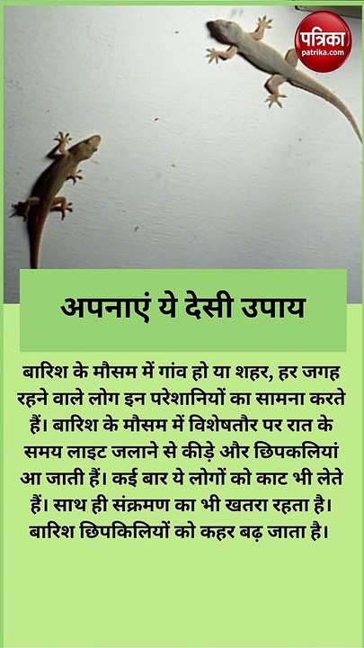 छिपकली घर से हो जाएंगी छूमंतर, अपनाएं ये देसी उपाय