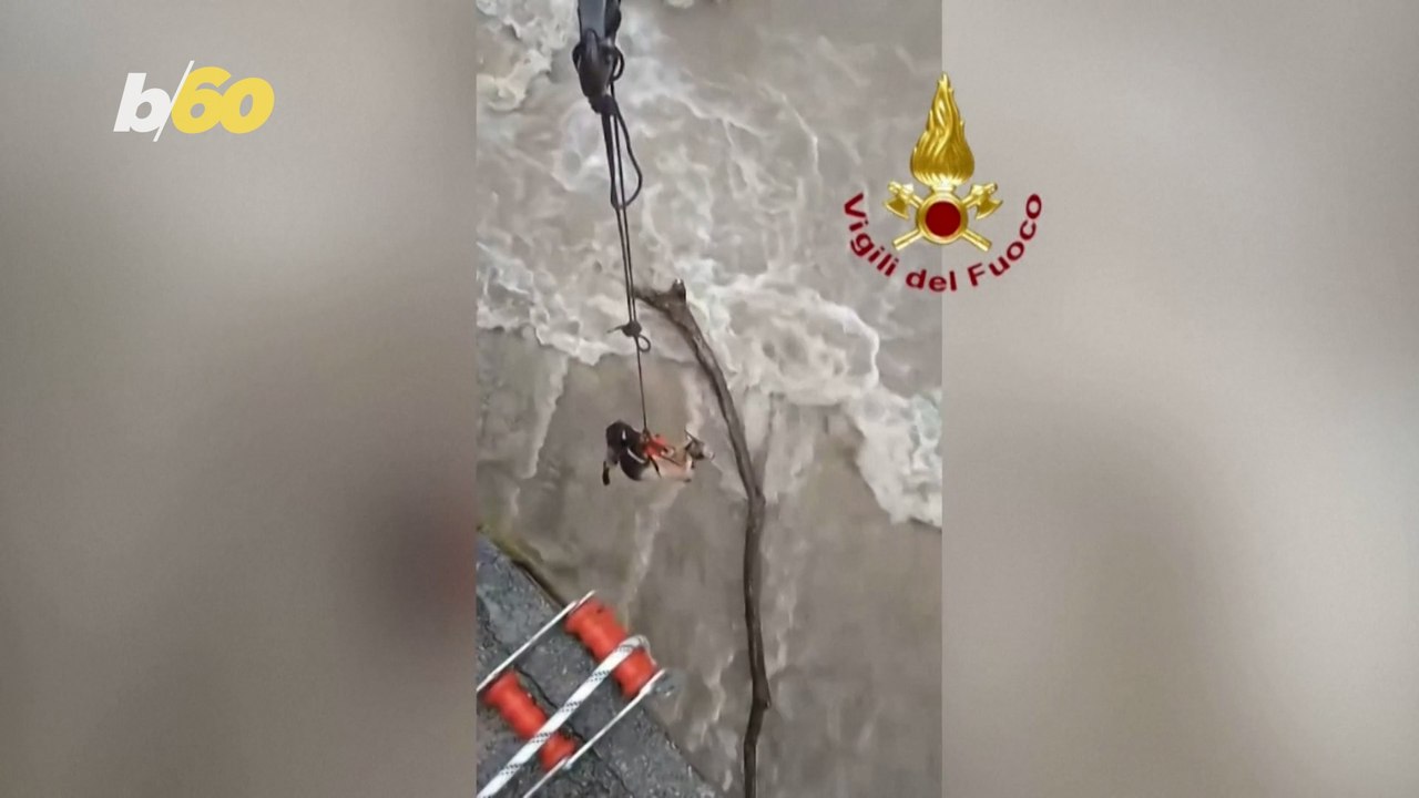 Italian Firefighters Rescue Animals Stranded by Flooding