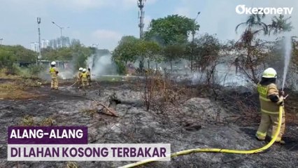 Cuaca Panas, Alang-Alang di Lahan Kosong Terbakar