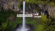 Addis Ababa - The Mini Vandals  Reggae Music, Funky Music,Suspense Music