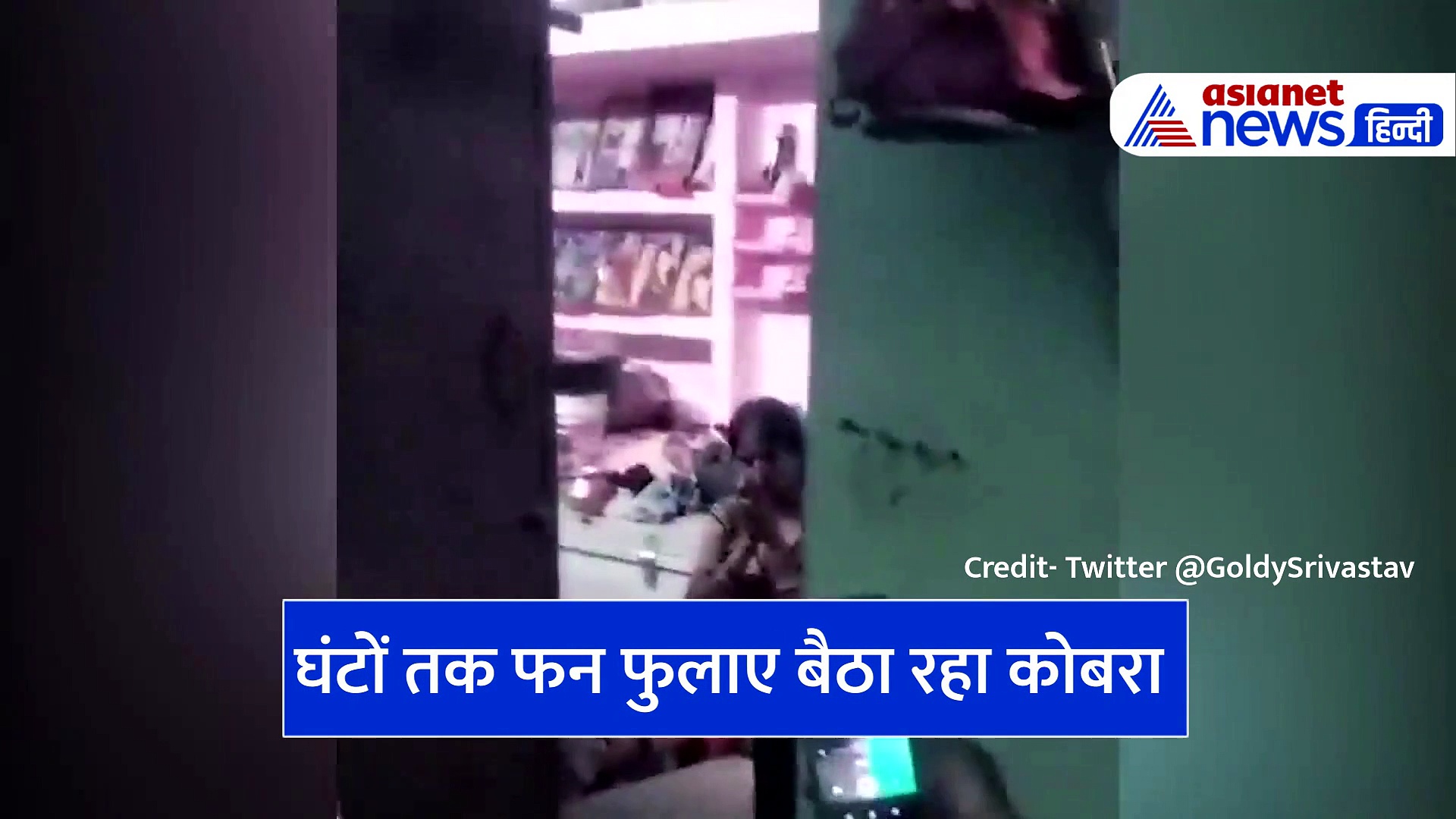 वीडियो: महोबा में 3 घंटे तक फन फुलाए बैठा रहा कोबरा, महिला ने किया ये काम