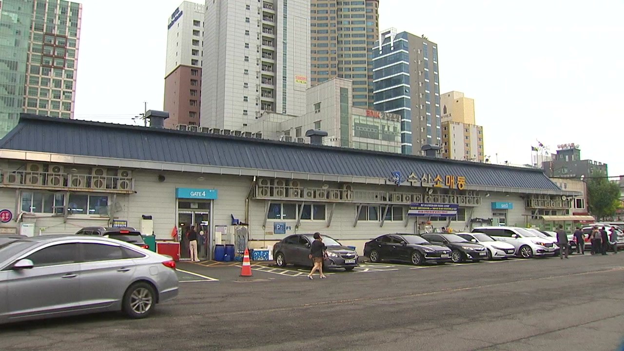 [울산] 울산시, 수산물 안전성 홍보·소비 촉진 행사 마련 / YTN