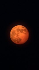  Mais pourquoi la Lune est devenue ROUGE la nuit du 29 au 30 août ?