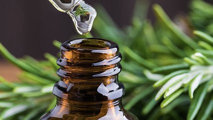 Mejora Tu Salud Capilar Con Aceite De Romero