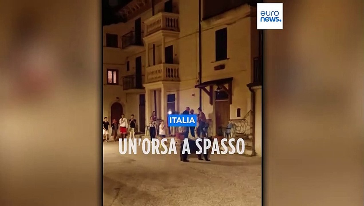 Un'orsa e i suoi due cuccioli passeggiano a San Sebastiano dei Marsi