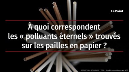 À quoi correspondent les « polluants éternels » trouvés sur les pailles en papier ?