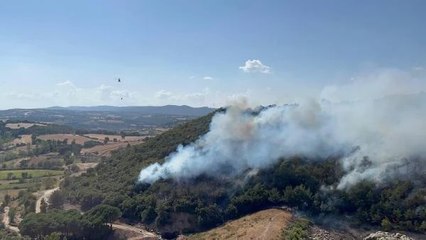Çanakkale'de Orman Yangını