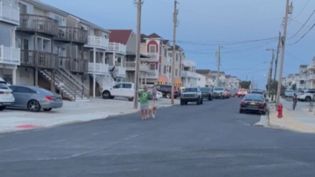 Drunk dad shows up with a stranger's dog on leash *Crazy Drunk Adventure*