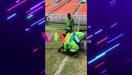 Rumput Jakarta Internasional Stadium Mulai Diganti!