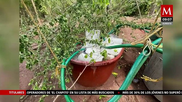 Aseguran en 3 narcolaboratorios y destruyen 8 mil 300 kilogramos de metanfetamina en Sinaloa