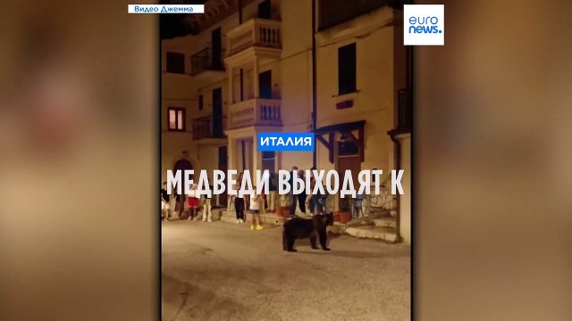 Медведи выходят к людям
