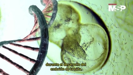 Día Mundial del Síndrome de Turner: ¿Qué es y por qué afecta a las mujeres?