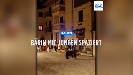 Bärin Amarena spaziert mit ihren Jungen durch italienisches Dorf