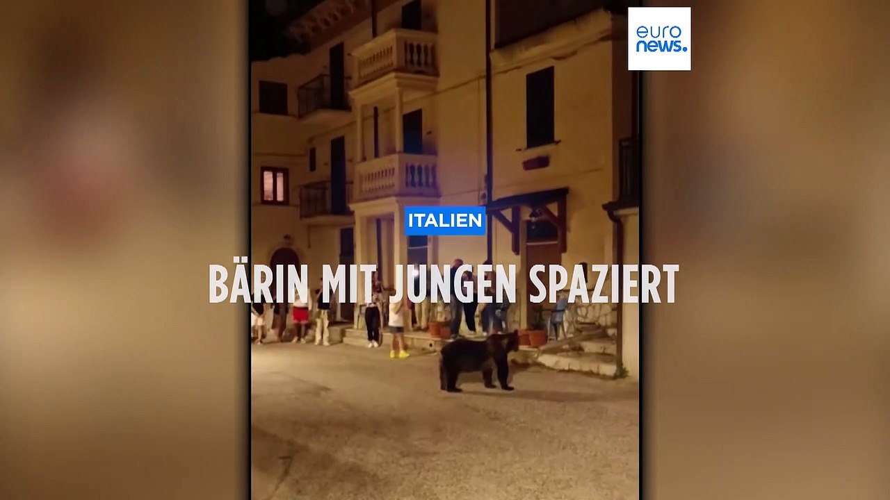 Bärin Amarena spaziert mit ihren Jungen durch italienisches Dorf