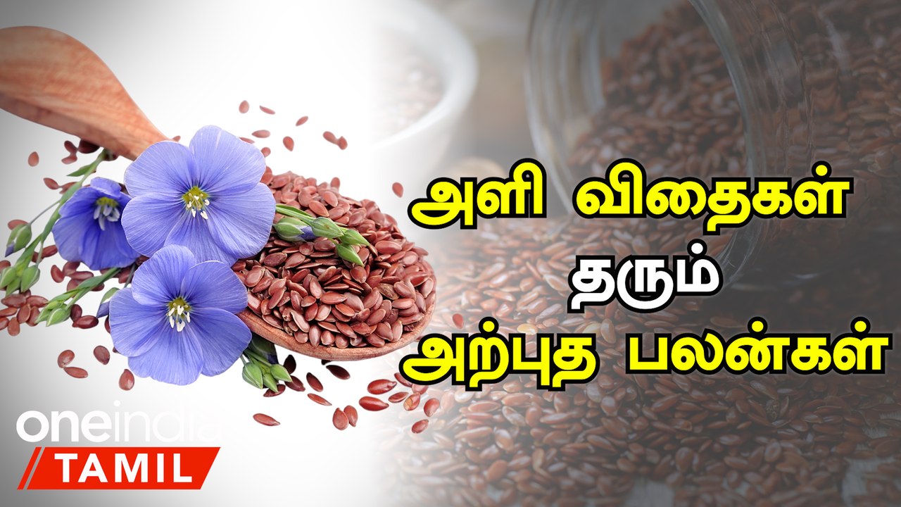 அளி விதைகள் தரும் அற்புத பலன்கள் Flax Seed Benefits in Tamil Aali