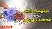 அளி விதைகள் தரும் அற்புத பலன்கள்  | Flax Seed Benefits in Tamil | Aali Vithai Benefits in Tamil