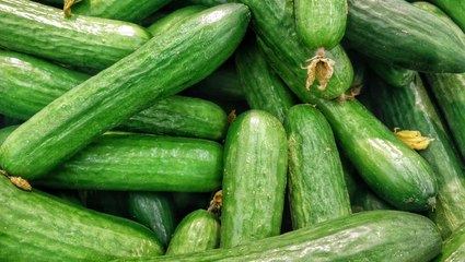 Yes, You Can Cook Cucumbers—Here's How to Grill, Bake, and Sauté Them