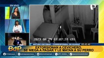 Huaraz: Extorsionadores asesinan a mascota de empresario cevichero por negarse a pagar