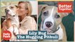 Lily Bug The Hugging Pitbull Is The Most Affectionate Dog You'll Meet | Better Together | Daily Paws