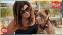 This Pit Bull Survived Major Trauma, Now He's A Therapy & Crisis Response Dog