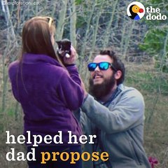 Cat Helps Dad Propose   The Dodo