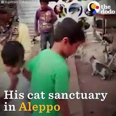 Cat Man Of Aleppo Rebuilds His Sanctuary   The Dodo