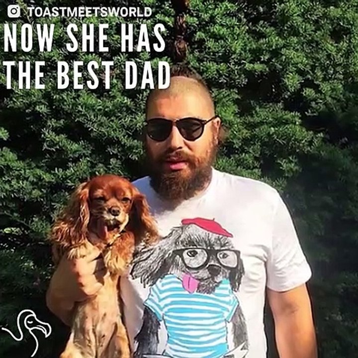 Dog Rescued From Puppy Mill Now Has The Life All Pets Deserve