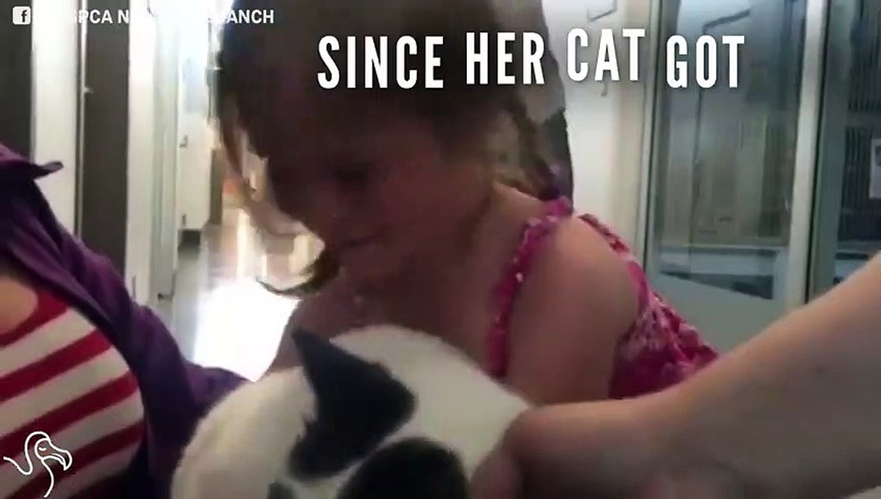 Little Girl Can't Believe Her Lost Cat Is Home