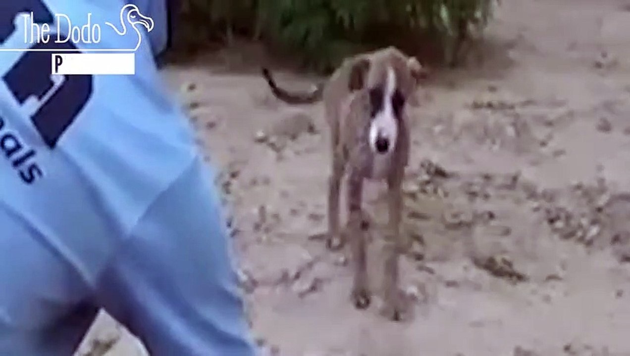 Lilly learnt to trust again