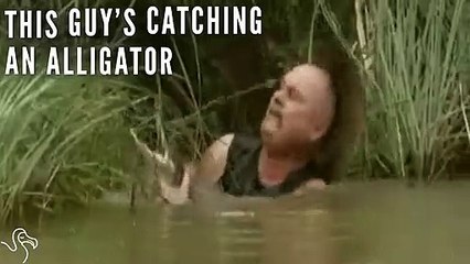 Man Dives Into Swamp To Rescue Injured Alligator