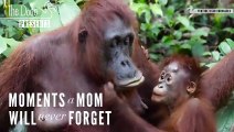 Moments A Mom Will Never Forget